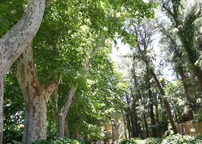 Varinia Serena - Balneario De 3*